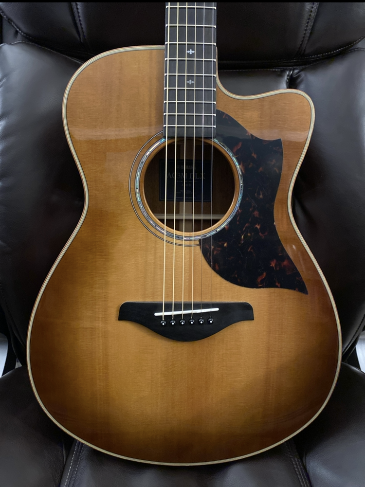 Capture: front (body) – centered, sharp, no glare